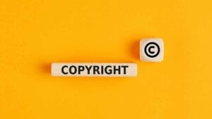 Basics and importance of logo Copyright