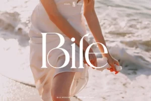 Serif font name of Bile