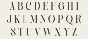 Serif font name of Ringfit
